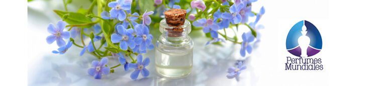 Algunos tips para elegir un perfume.